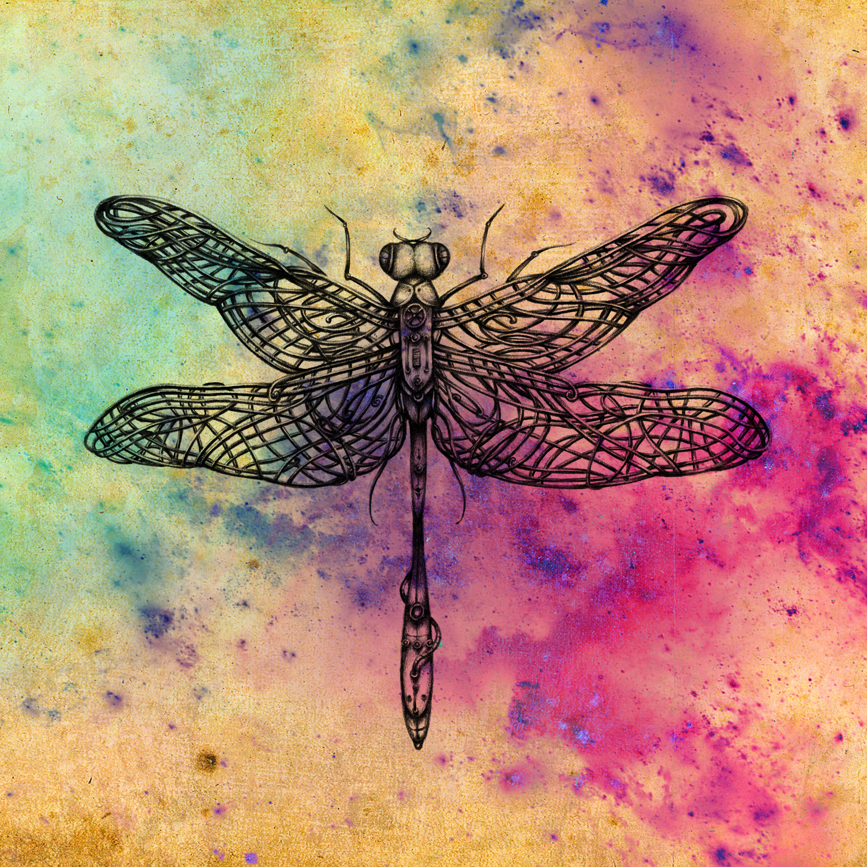 Etheral dragonfly anonymously buy bitcoins ukc